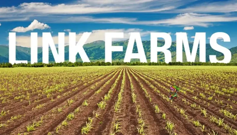 مزرعه لینک چیست و چرا گوگل با آن مخالف است؟